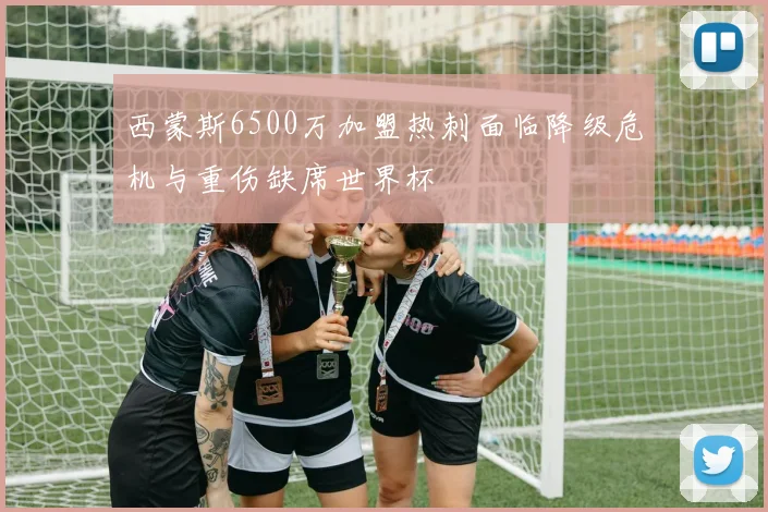 西蒙斯6500万加盟热刺面临降级危机与重伤缺席世界杯