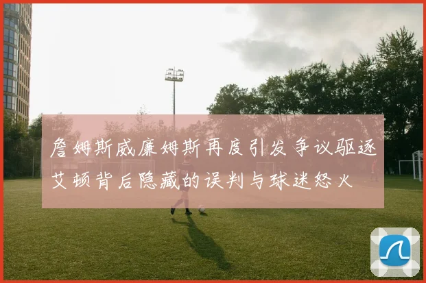 詹姆斯威廉姆斯再度引发争议驱逐艾顿背后隐藏的误判与球迷怒火